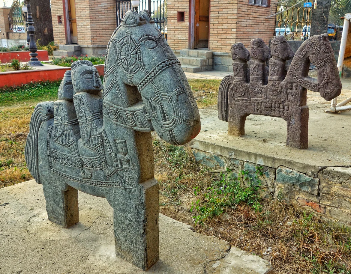 The specimen kept at the Shri Pratap Singh Museum, Srinagar