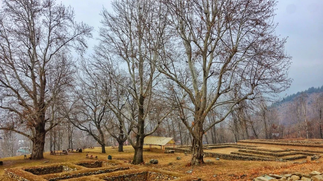 Another view of the Complex
