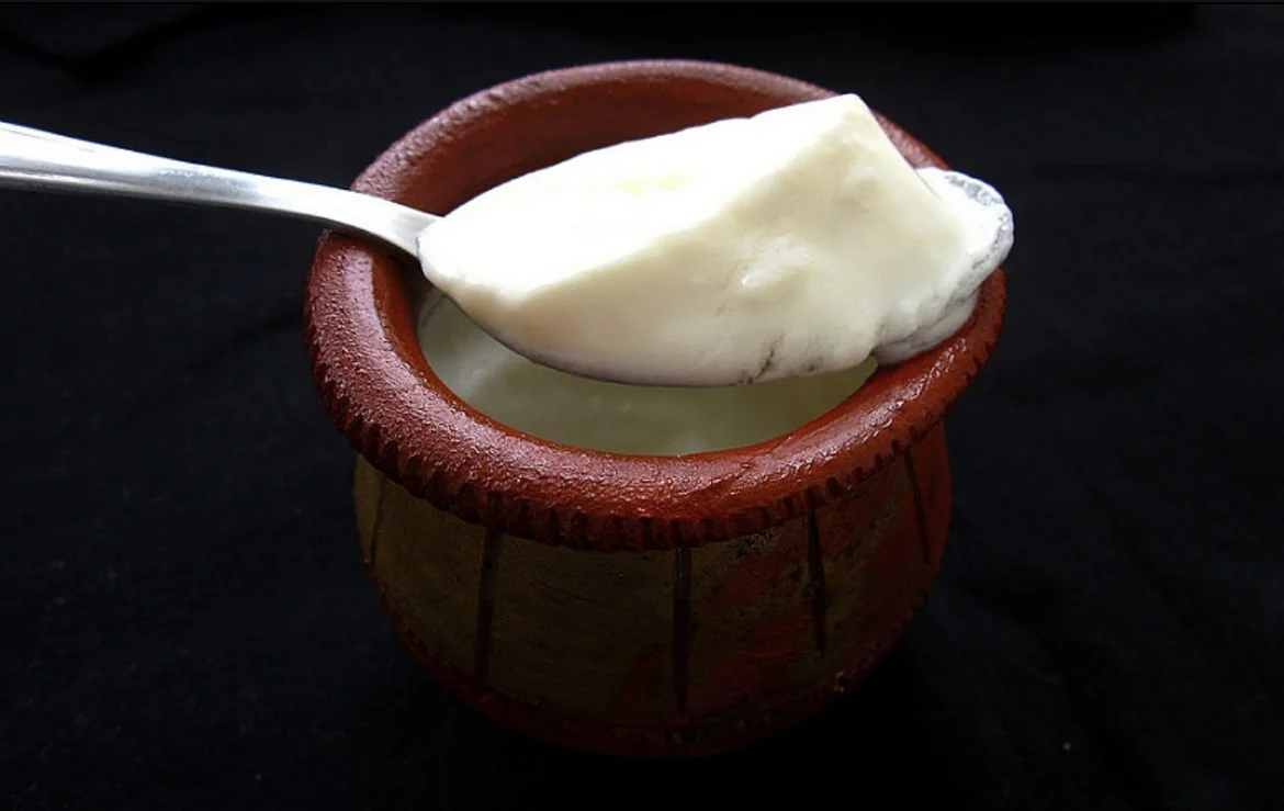 Yogurt