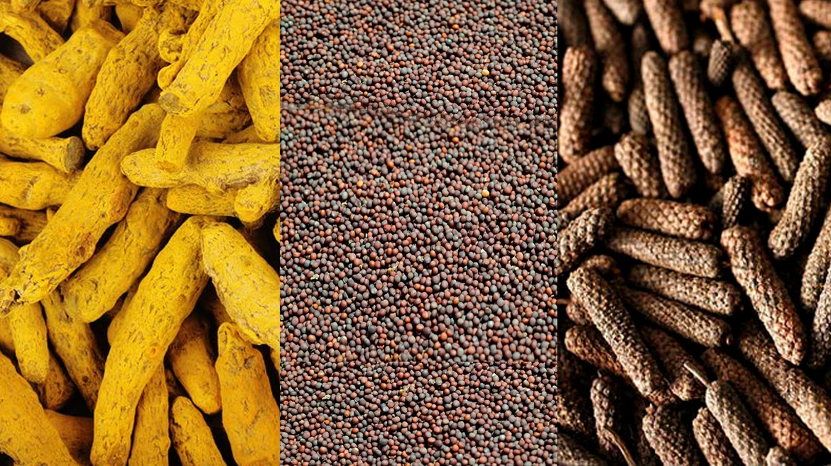 Indian spices - turmeric, mustard seed and, long pepper (L-R)