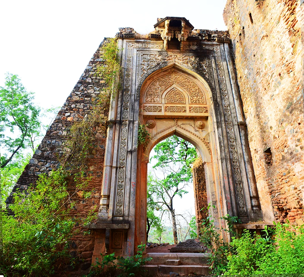 Nagpuri Gate, New Fort