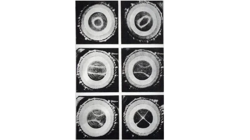 Vibration patterns with sand on syahi-loaded drumhead