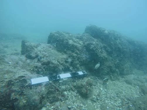 Underwater fallen structure off the Mahabalipuram coast