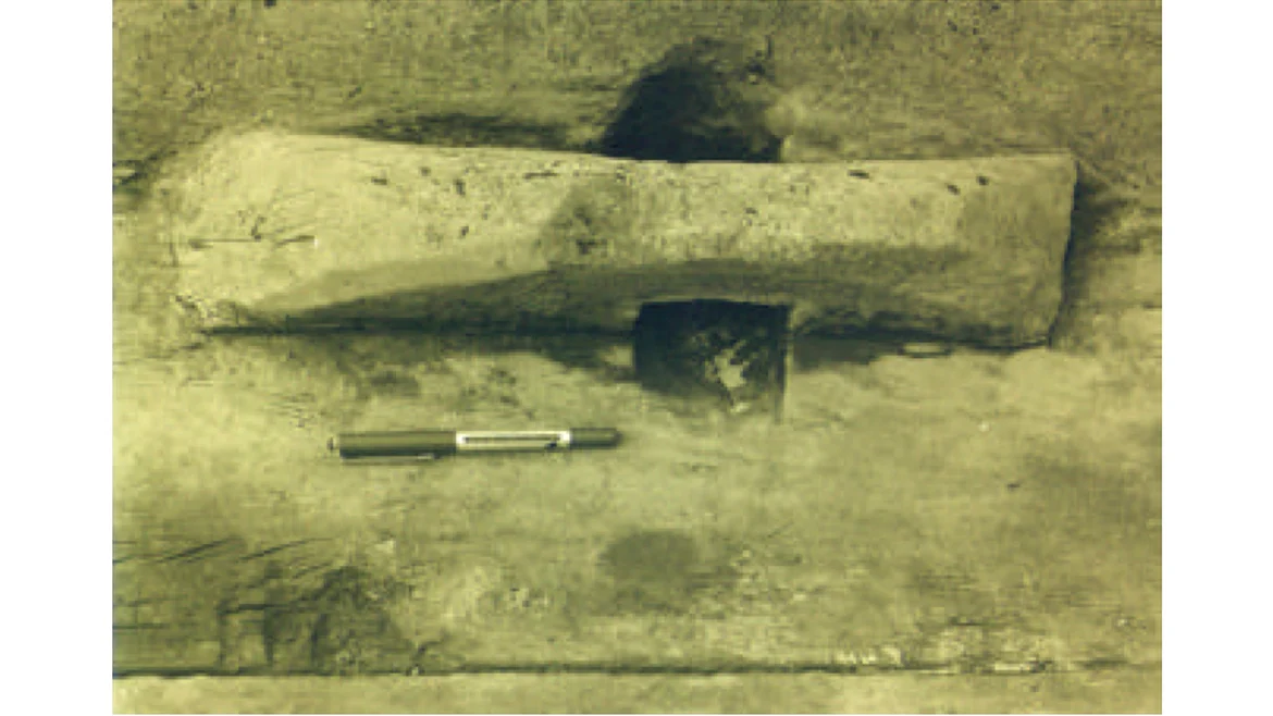 A closeup view of the remains