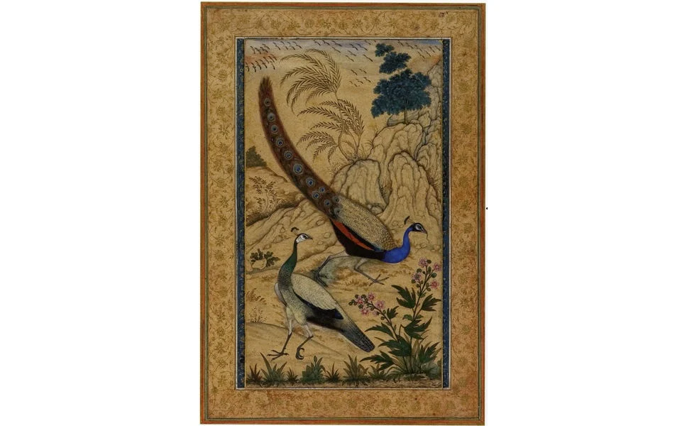 Peafowl by Mansur