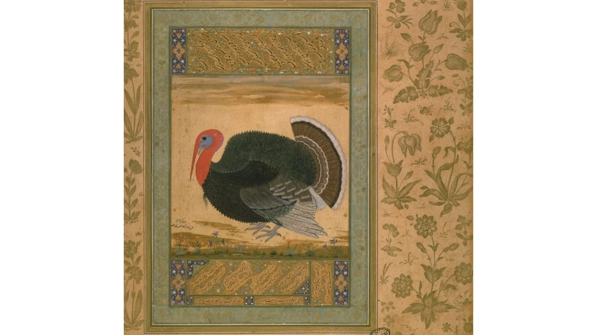 A Turkey From Goa by Ustad Mansur