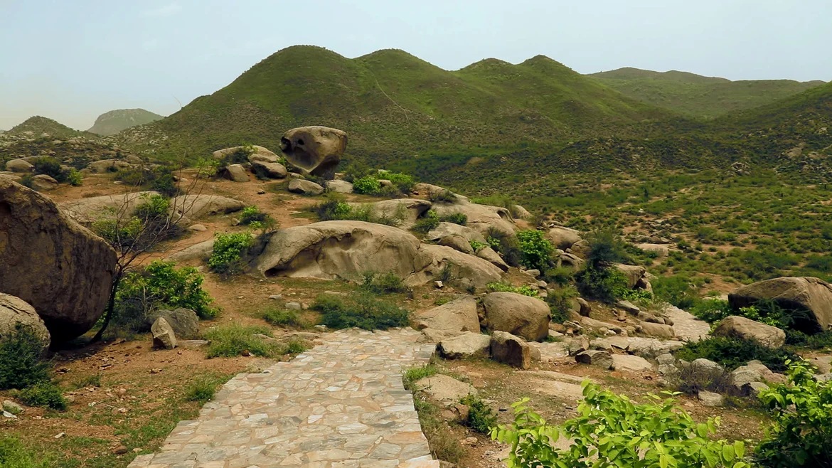 A view from Bijak ki Pahadi