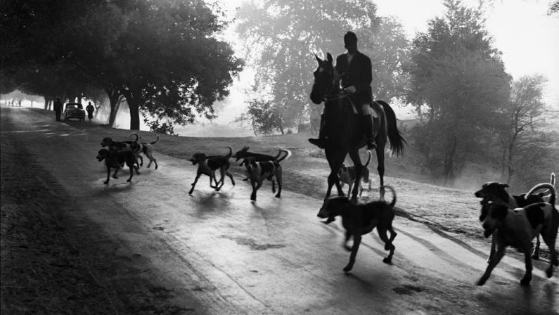 A Fox Hunt in Delhi led by Col. Sahni