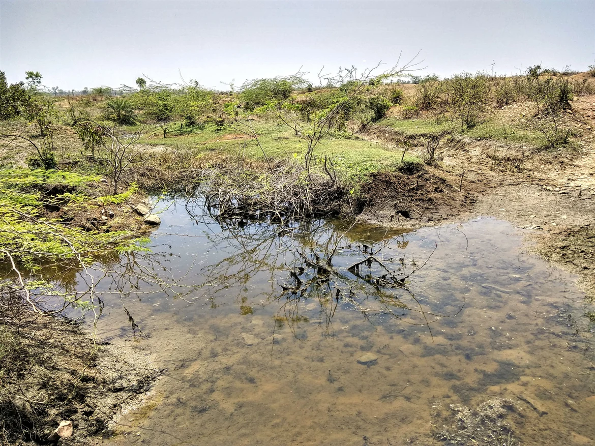 General view of the locality
