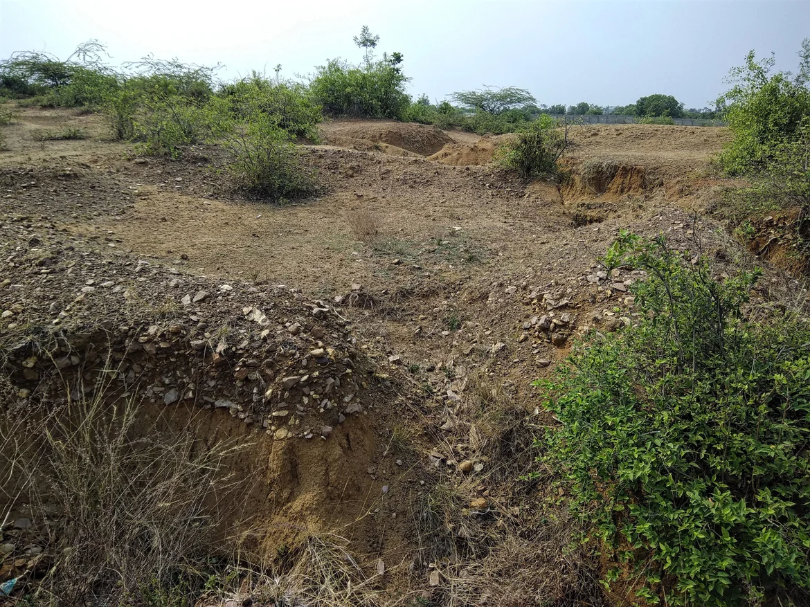 Rich Acheulian deposits