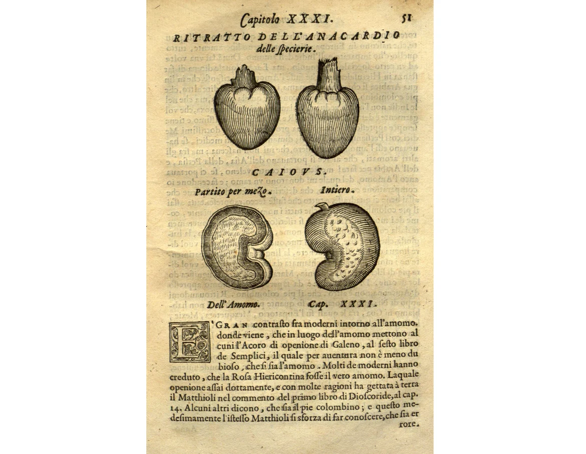 Page from a translation of his book