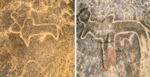 Petroglyphs on the banks of the River Kushavati