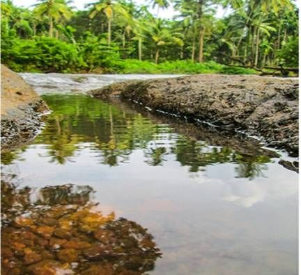 Banks of river Kushavati
