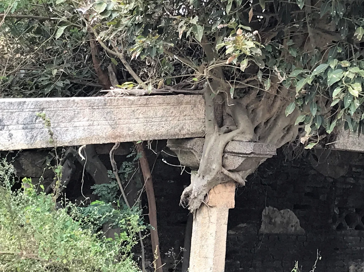 Pillai Chatram, crumbling edifice