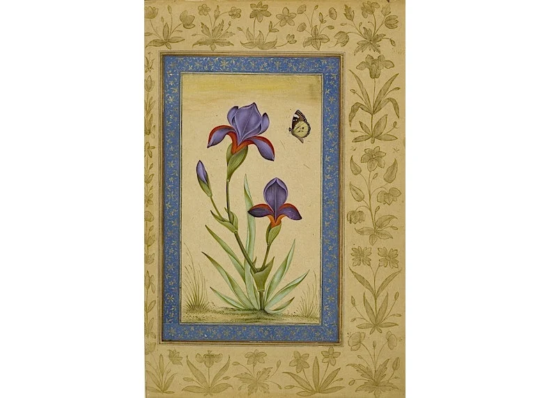 A Blue Iris With Butterfly Alighting