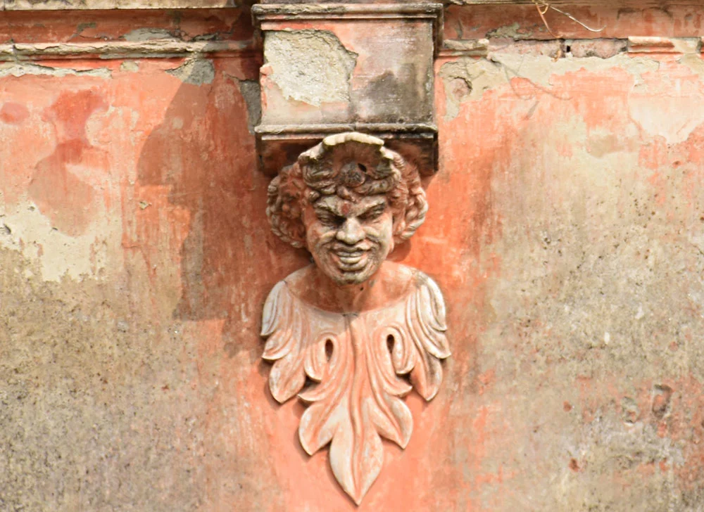 The face of an European jester