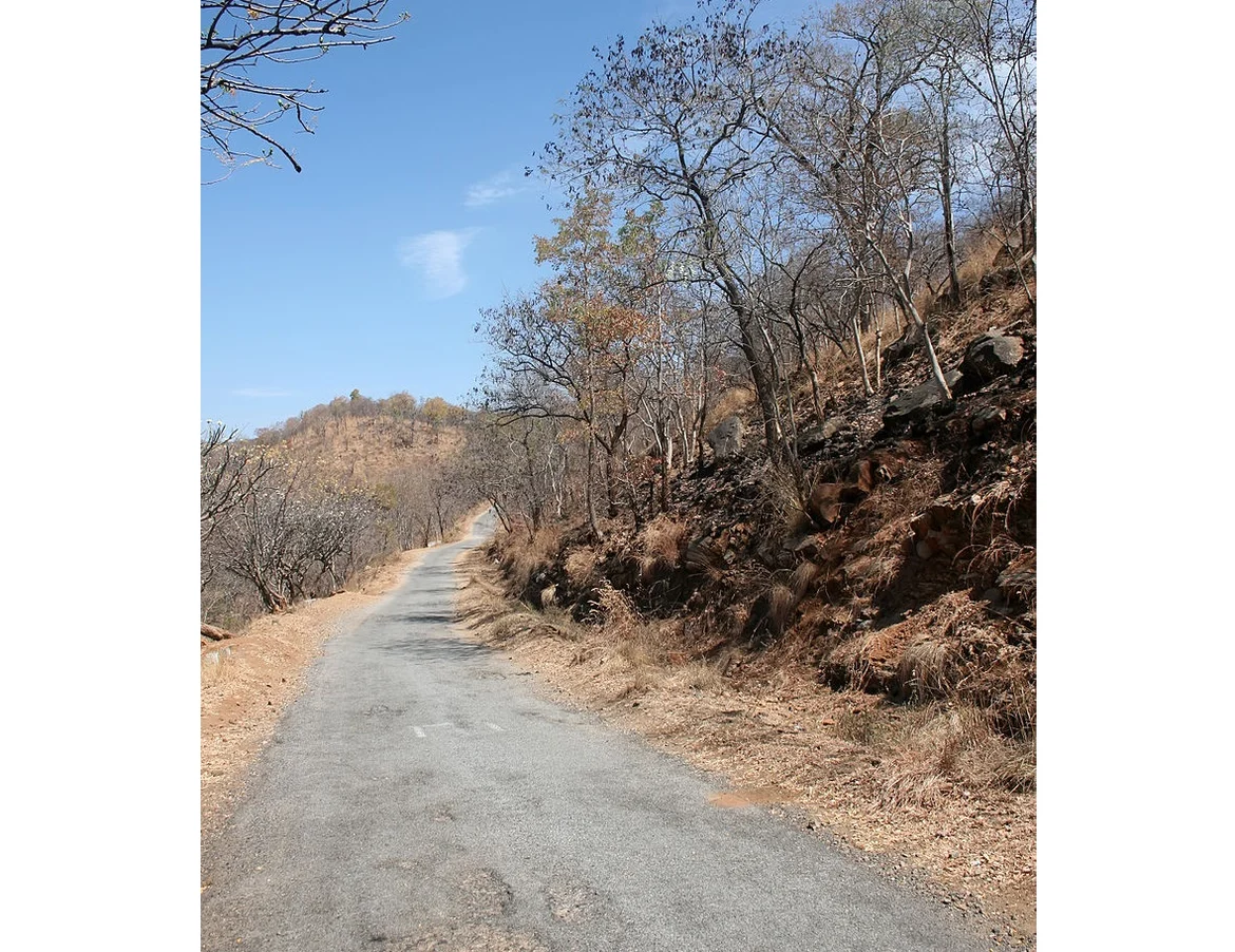 Road to Talakadu