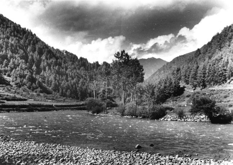 Chumbi Valley