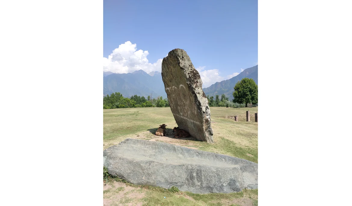 The sole erect Megalith, even this has tilted and has been vandalised