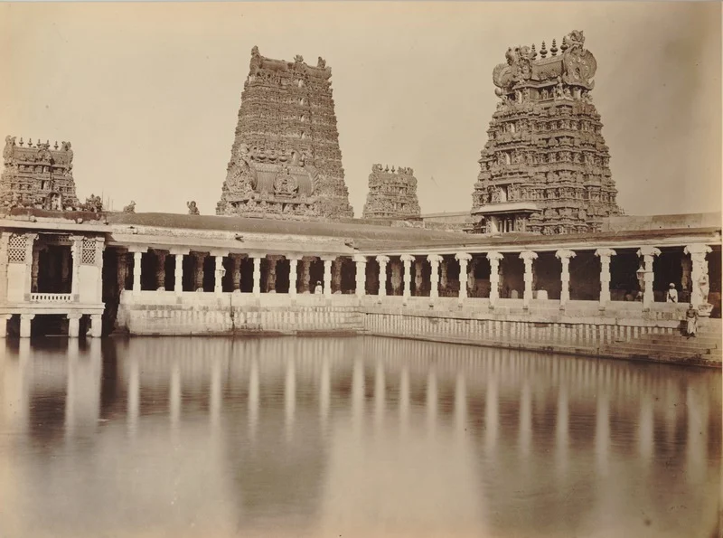 The Lily Pond in the Meenakshi Temple