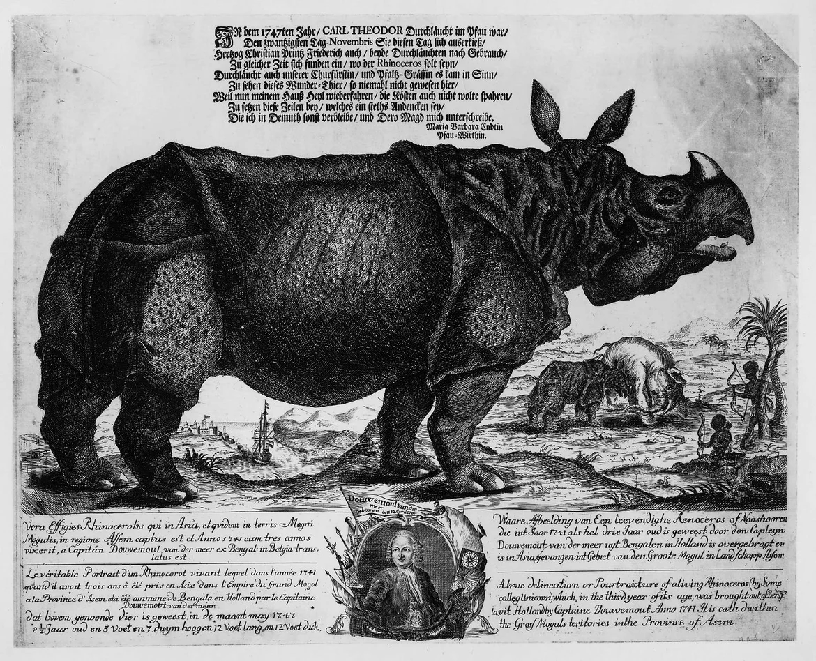 Example of the mass-produced souvenir pictures of Clara sold by Douwe Mout van der Meer, Nov 1747
