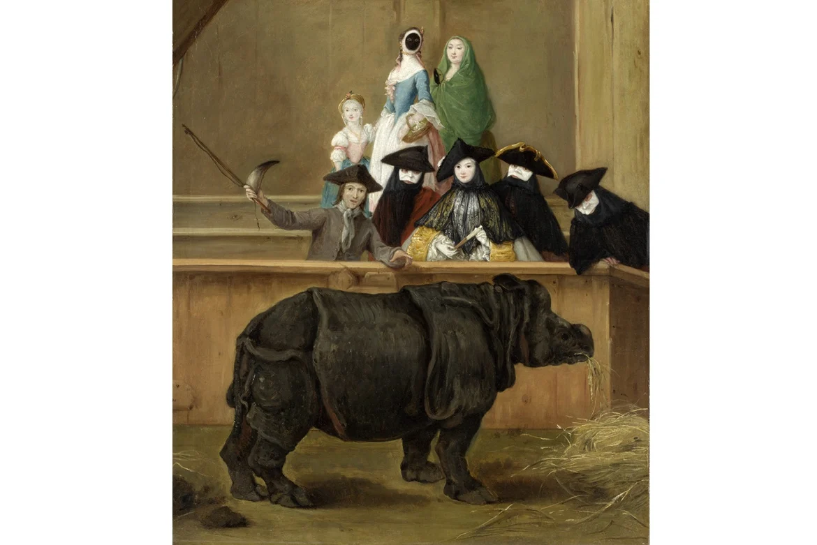 Clara in Venice by Pietro Longhi (1751)