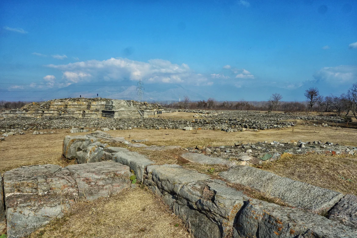 Another view of Parihaspora