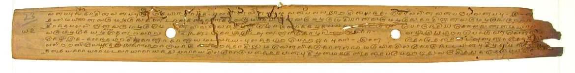 A palm leaf manuscript with ancient Tamil text