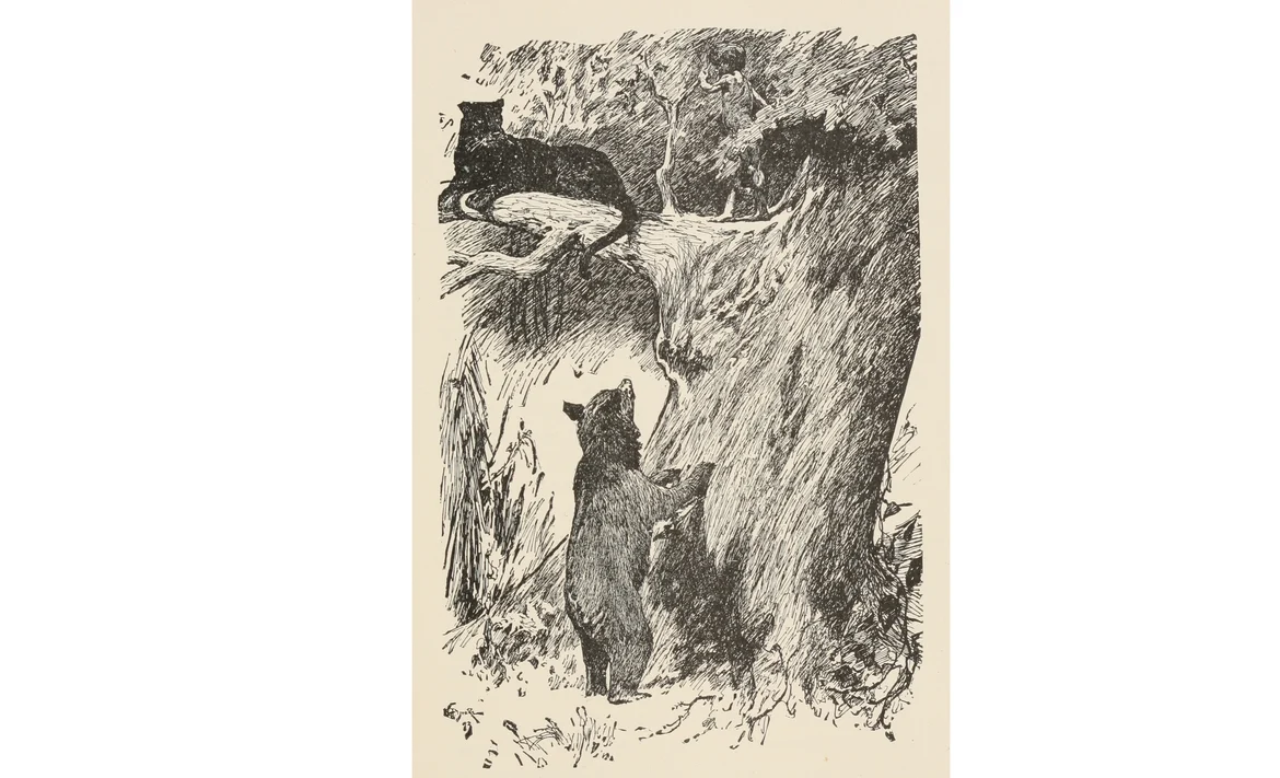Baloo and Bagheera illustrated in the first edition