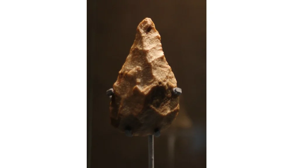 This stone handaxe found at Attirambakkam is the oldest human artefact found in the Indian subcontinent.