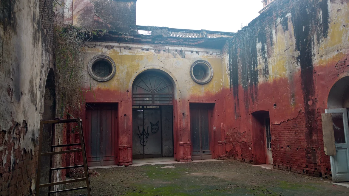 The weeds growing on the walls of the palace