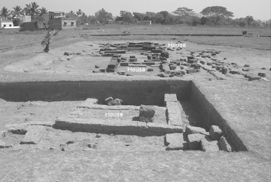 Areas of ancient domestic habitation from excavations from 1948 (background) and 2005 (foreground)