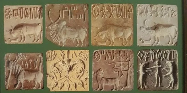 The script on seals