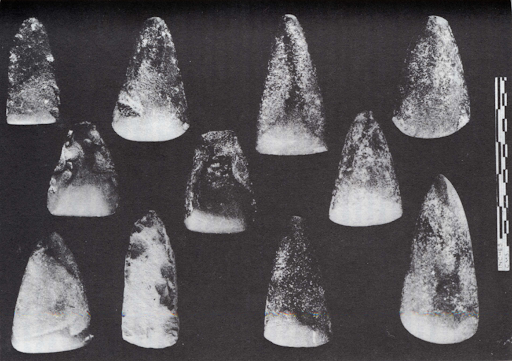 Neolithic polished stone axes from Brahmagiri (Southern Indian Neolithic)