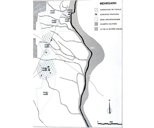 Distribution of the different phases of the site of Mehrgarh