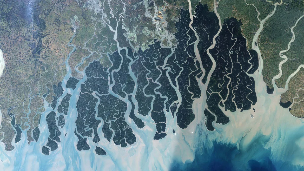 The Sundarbans appear dark green in this satellite image