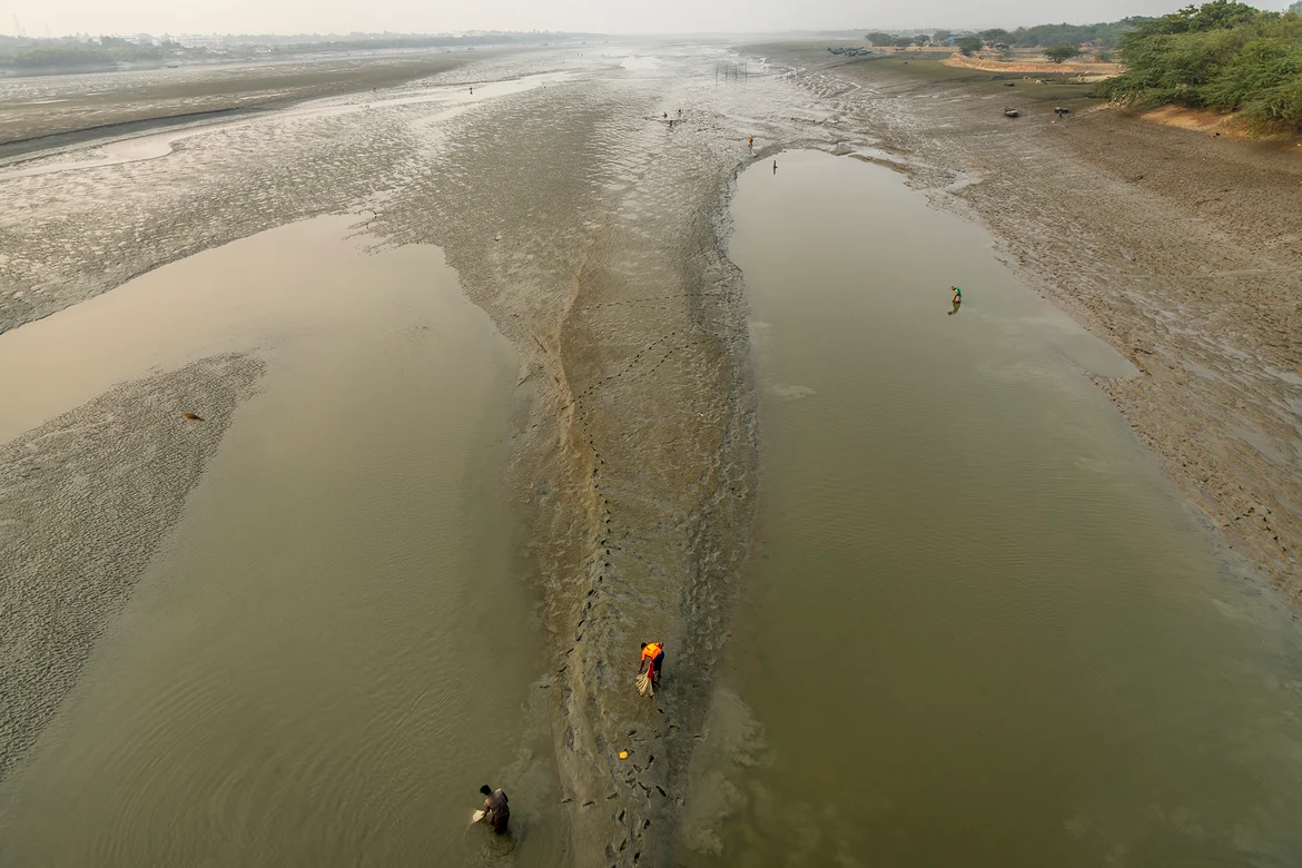 Matla River at low tide