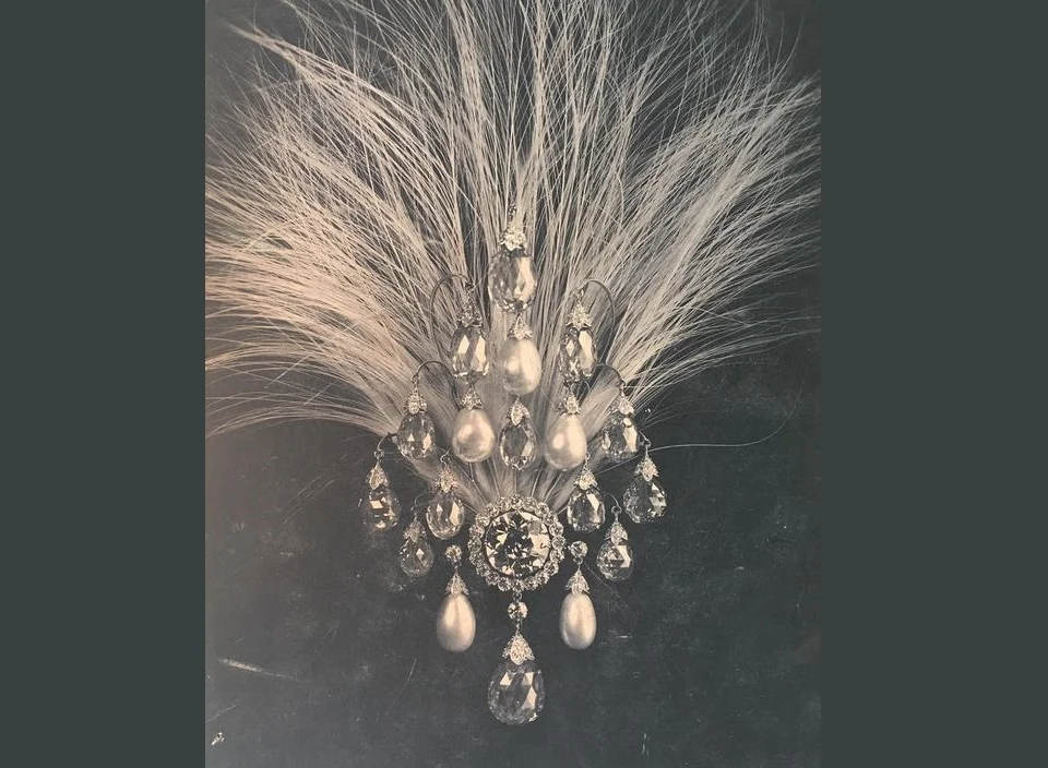 Rampur Aigrette