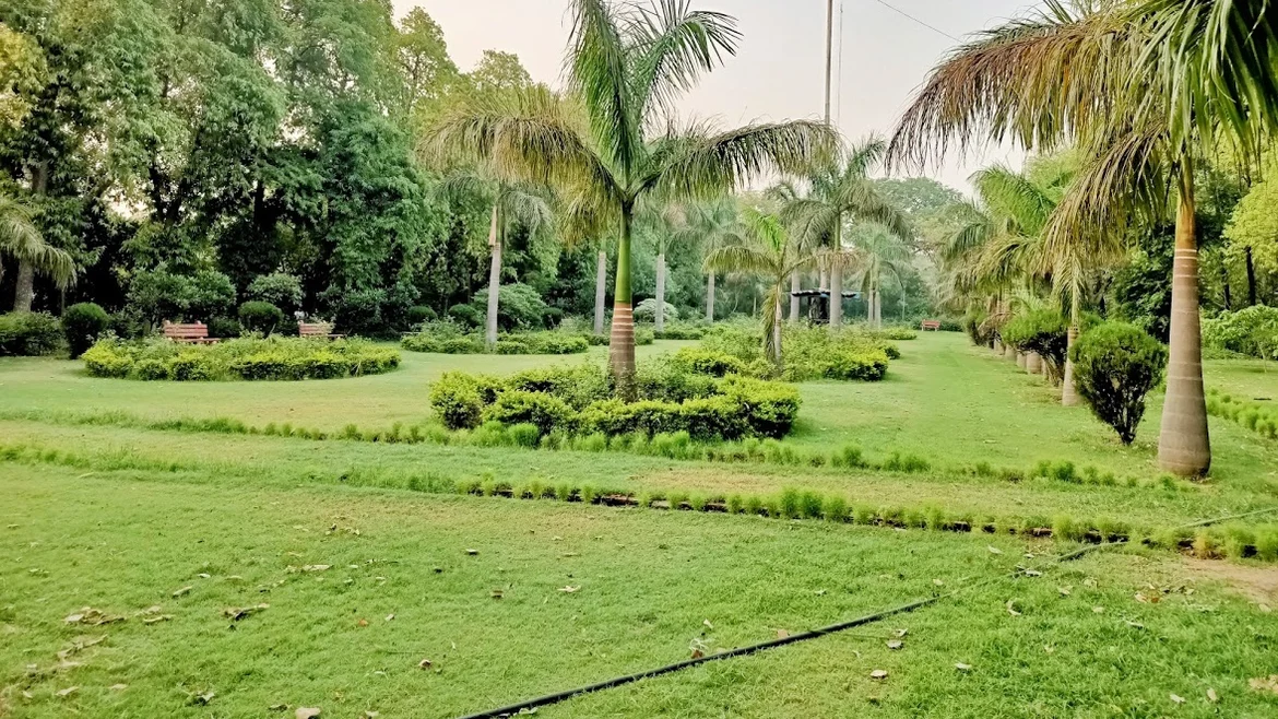 The many trees in the Qudsia Bagh