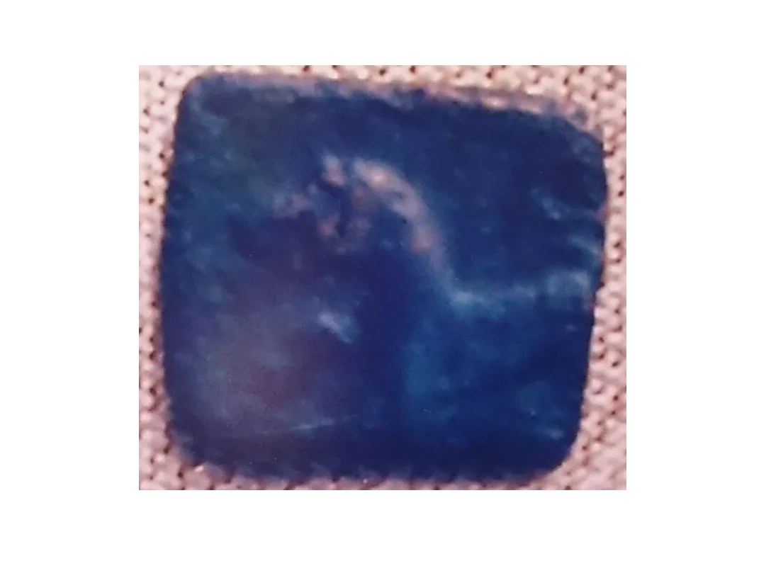 Chola coin with the image of a tiger