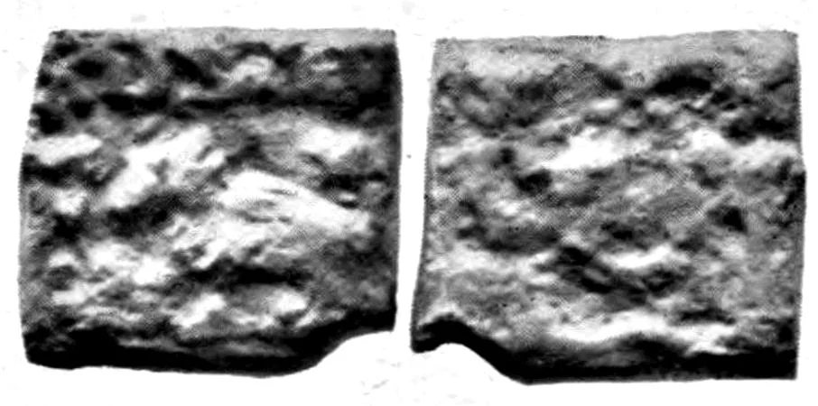 Coin of ruler Muladeva, minted in Ayodhya