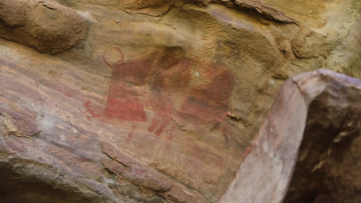 Painting of the boar at Bhimbetka