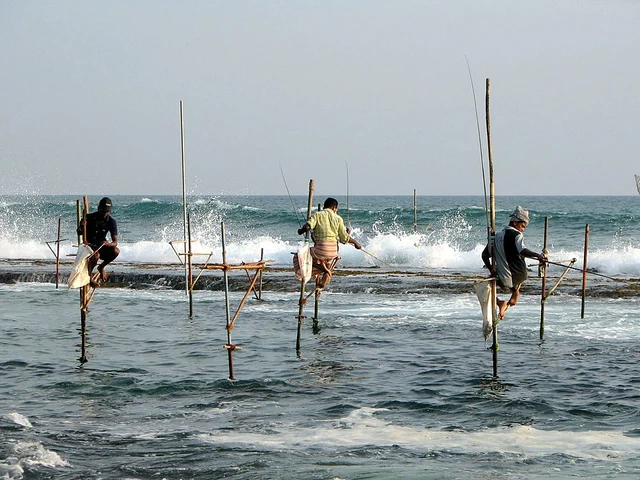 மீனவர்களை அச்சுறுத்த புதிய சட்டத்திருத்தம்... மாநில அரசின் உரிமையைப் பறிக்க பா.ஜ.க அரசு திட்டம்!