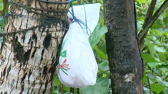 ഹരീഷിന്റെ ചിതാഭസ്മം 