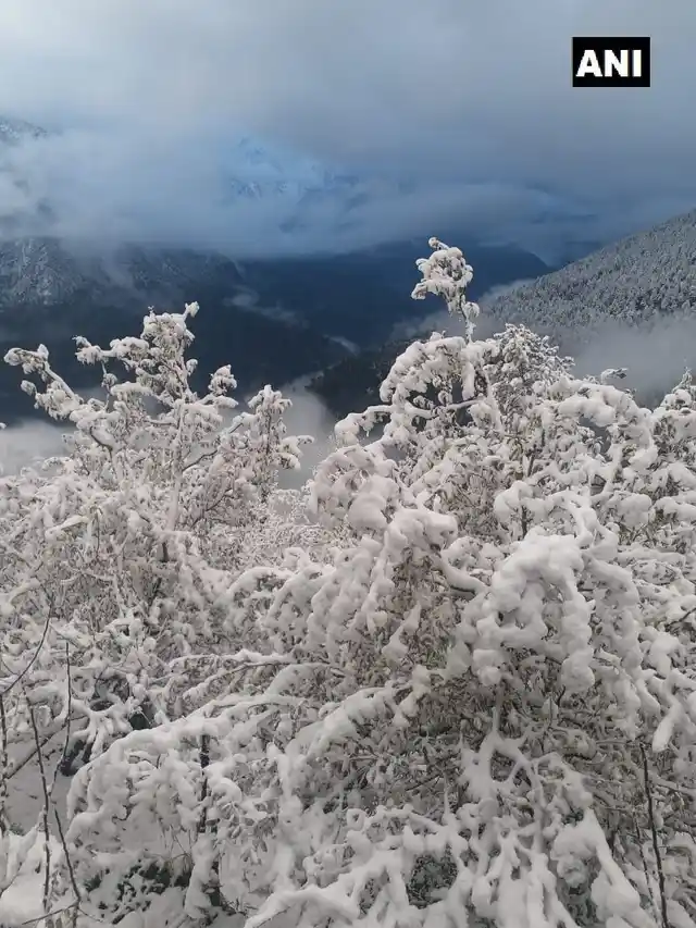 किन्नौर जिले के पांगी इलाके की यह तस्वीरें आई हैं, जहां बीती रात ताजा बर्फबारी हुई