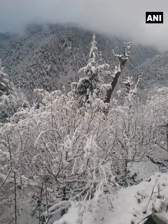 बर्फबारी की एक और खूबसूरत तस्वीर