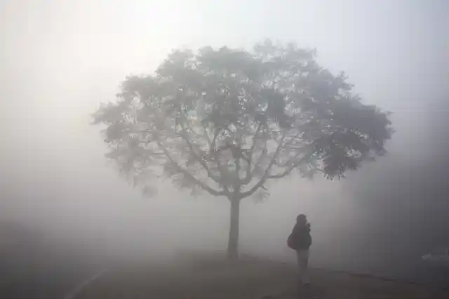 मंगलवार, 1 जनवरी को नई दिल्ली में एक शख्स बस के इंतजार में धुंध से ढकी सड़क पर खड़ा है. राजधानी में हवा की गुणवत्ता बेहद खराब है.