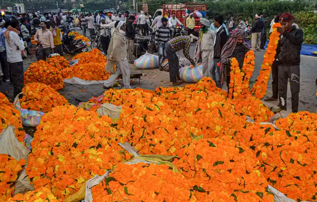 आगरा में दिवाली पर गेंदे के फूलों और मालाओं की बिक्री जोरो पर हो रही है