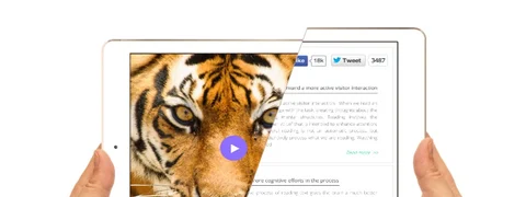 Text or video - Invest effectively