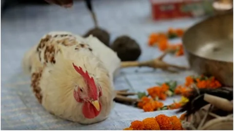 ಮಾಟಮಂತ್ರದ ಅನುಮಾನ; ಕಾರಾಗೃಹದಲ್ಲಿ ದಲಿತ ಕುಟುಂಬದ ಬದುಕಿನ ಪಯಣ!